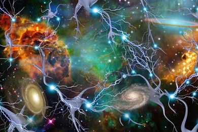 Module Five (pre req Modules 1 4)