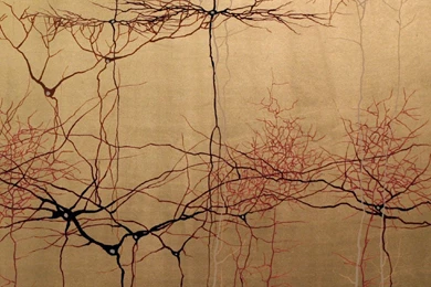 Art Inspired By Neuroscience   RobotSpaceBrain