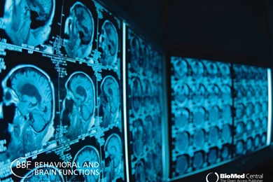 Fonds D'écran Neuroscience : Tous Les Wallpapers Neuroscience