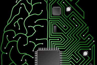 Watch Full Episodes Online Of NOVA ScienceNOW On PBS