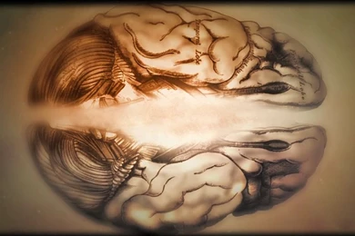 Thoughts On The Neuroscience Of Style And Joyce's Ulysses