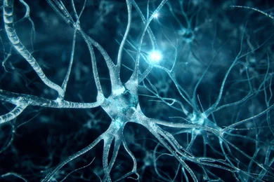 Biomech & Assistive Device Lab