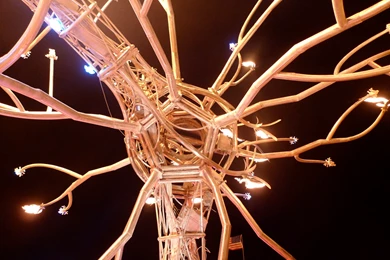 Could Neuroscience Help Organizational Change?