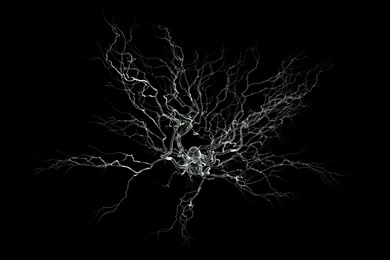Neuroscience Wallpapers