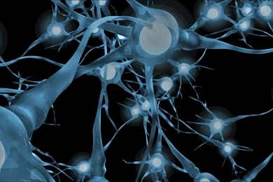 Neuroscience Wallpapers