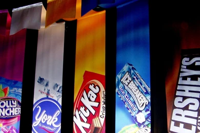 Persuasive1.com   David E. Rohr