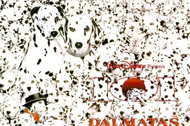 101 DALMATIANS Comedy Adventure Family Dog Puppy 100 Dalmatians ...