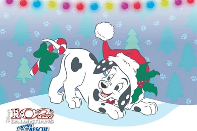 Dalmatians Wallpapers