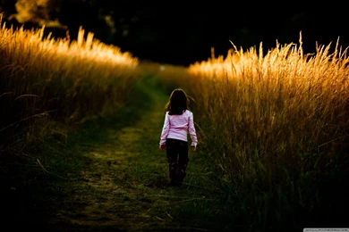 A Walk In Nature Wallpapers Full HD [2560x1600]   Free Wallpapers ...