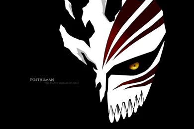 Bleach Movie White Black Full HD Wallpapers Image For iPad Mini 3 ...