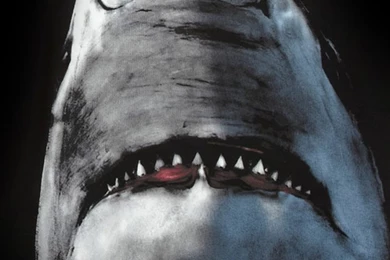 Givenchy iPhone (4/4S) Wallpapers « Kanye West Forum