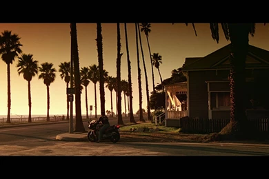 Rick's Cafe: [1] Film Kultowy: Top Gun 1986