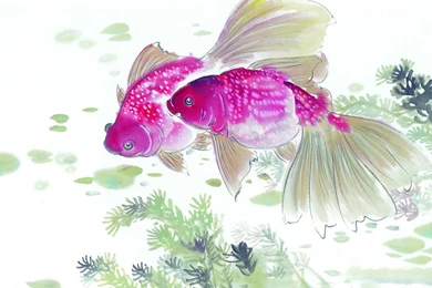 Chinese Ink Painting Of The Mid Fish Desktop Wallpapers 16 ...