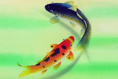 Chinese Ink Painting Of The Mid Fish Desktop Wallpapers 15 ...