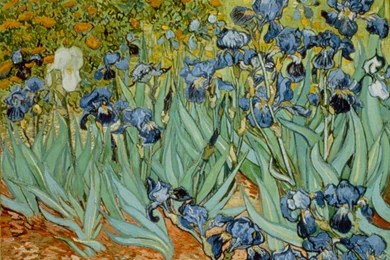 Painted Green Landscape Desktop Wallpapers