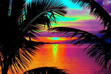 Fabulous Wallpapers   Wallpapers Cave