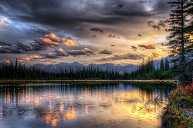 Fabulous Wallpapers HD