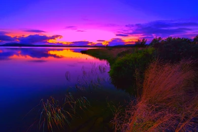 Download Free Modern Ecology The Wallpapers 1050x814px