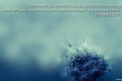 Verse Wallpapers   Wallpapers Zone