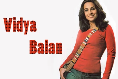 Wallpapers Vidhyabalan Bolywood Actress Vidya Balan 1024x768 ...