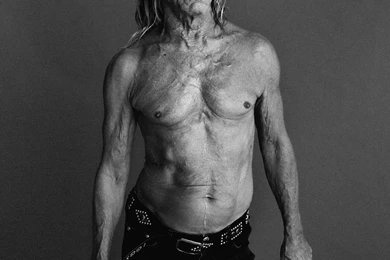 15 Quality Iggy Pop Wallpapers, Celebrity