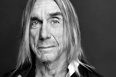 15 Quality Iggy Pop Wallpapers, Celebrity