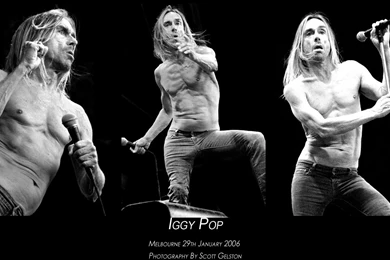 DeviantArt: More Like Iggy Pop By PixPimper