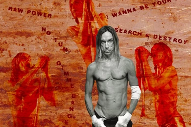 Fonds D'écran De Iggy Pop Sur Maxxiweb (Fond Et Wallpapers)