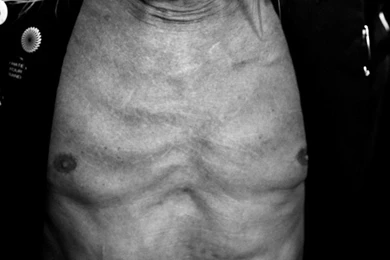 Computer Iggy Pop Wallpapers, Desktop Backgrounds 667x1000px Id