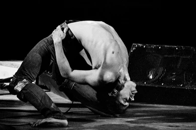 Iggy Pop ‹ Calvero