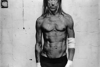 Download Iggy Pop May 2016 S   Wedding Dress News 2016