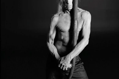 All New Pix1: Yolandi Wallpapers