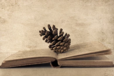 Download Wallpapers 2560x1600 Book, Cones, Paper, Old Photos ...