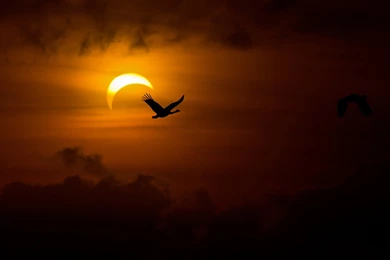 Awesome Solar Eclipse HD Wallpapers Free Download