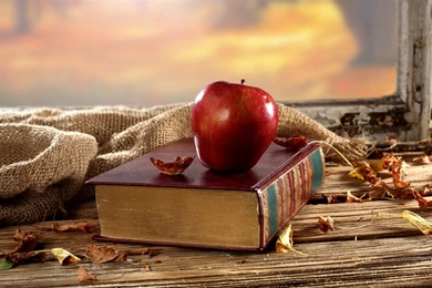 Old Book, Red Apple, Desk, Window, Dry Leaves Wallpapers
