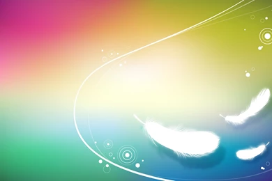 Backgrounds Wallpapers Hd