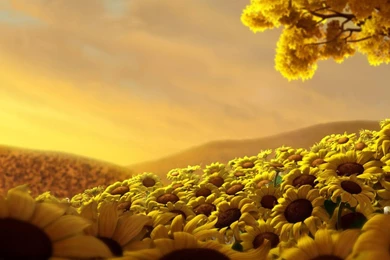 Over 100+ Beautiful Laptop Wallpapers – 2Advisor For International ...