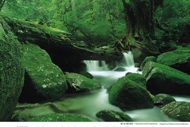 Japan National Tourism Organization