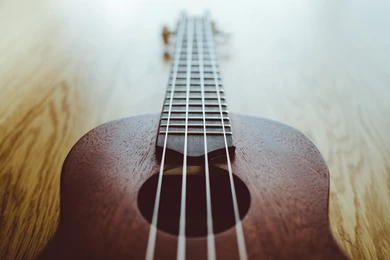 Beginner Ukulele Lessons
