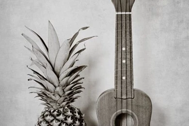 Still Life Photograph, Pineapple, Ukulele Photo, Hospitality, Etsy ...