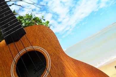 Ukulele Gimme Good Vibes By Bro12 On DeviantArt