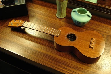 FS Concert Scale, All Mahogany Uke   David Newton Guitars