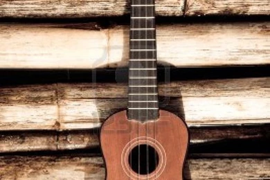 Ukulele On Bamboo Backgrounds Stock Photo   10094146