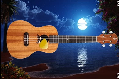 Ukulele Simulator   Android Apps On Google Play