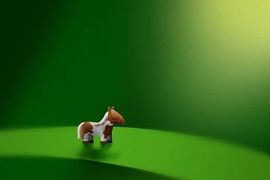 Micro Horse Wallpapers