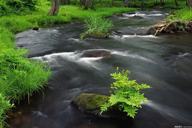 Wallpapers Miniature Landscape Moving Water X Free 1680x1050 ...