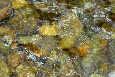 MLeWallpapers.com   Pebbles In Home Creek