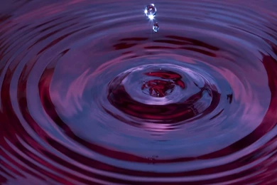 5 Free Animated And Moving Mobile Phone HD Wallpapers   Birthday ...