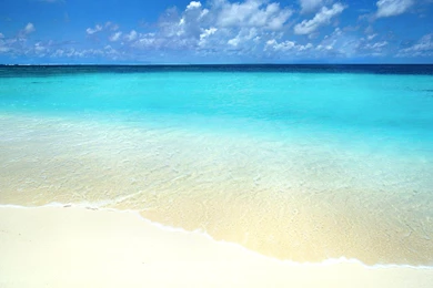 1339 Beach HD Wallpapers