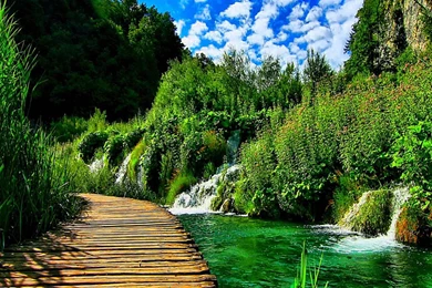 Barbie Live Wallpapers